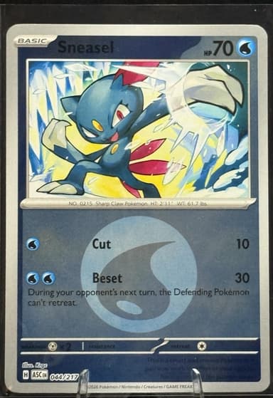 Sneasel (Ball Pattern)