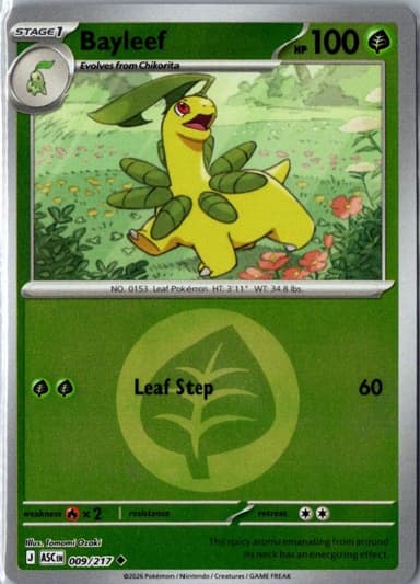 Bayleef (Energy Pattern)