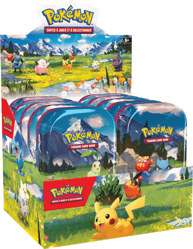 Ascended Heroes Mini Tins Display Case