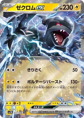 Zekrom ex