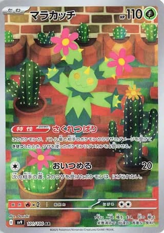Maractus