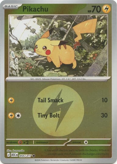 Pikachu (Energy Pattern)